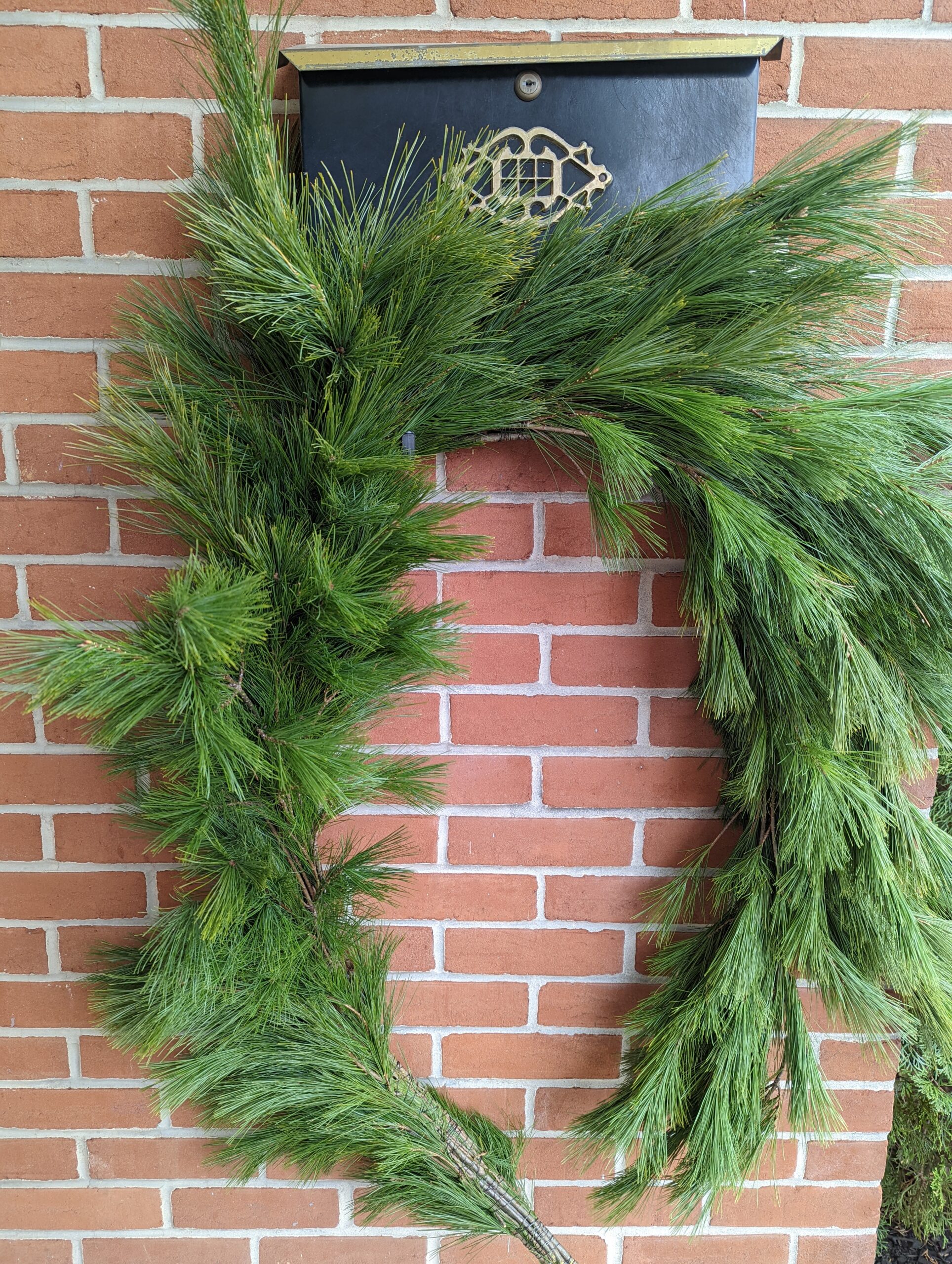 shop-cornerstone-plantation-christmas-tree-farm